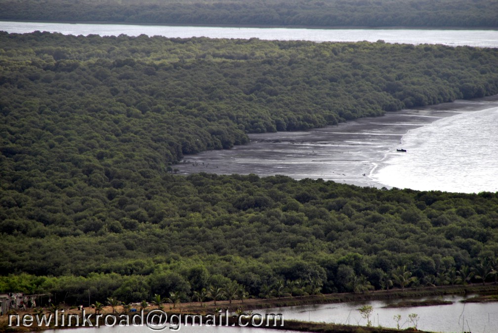 Rivers and wetlands of Mumbai: April&nbsp;2022