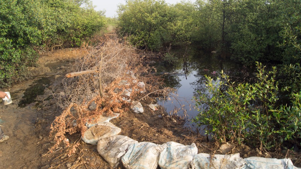 Esselworld caught in land grab&nbsp;crime