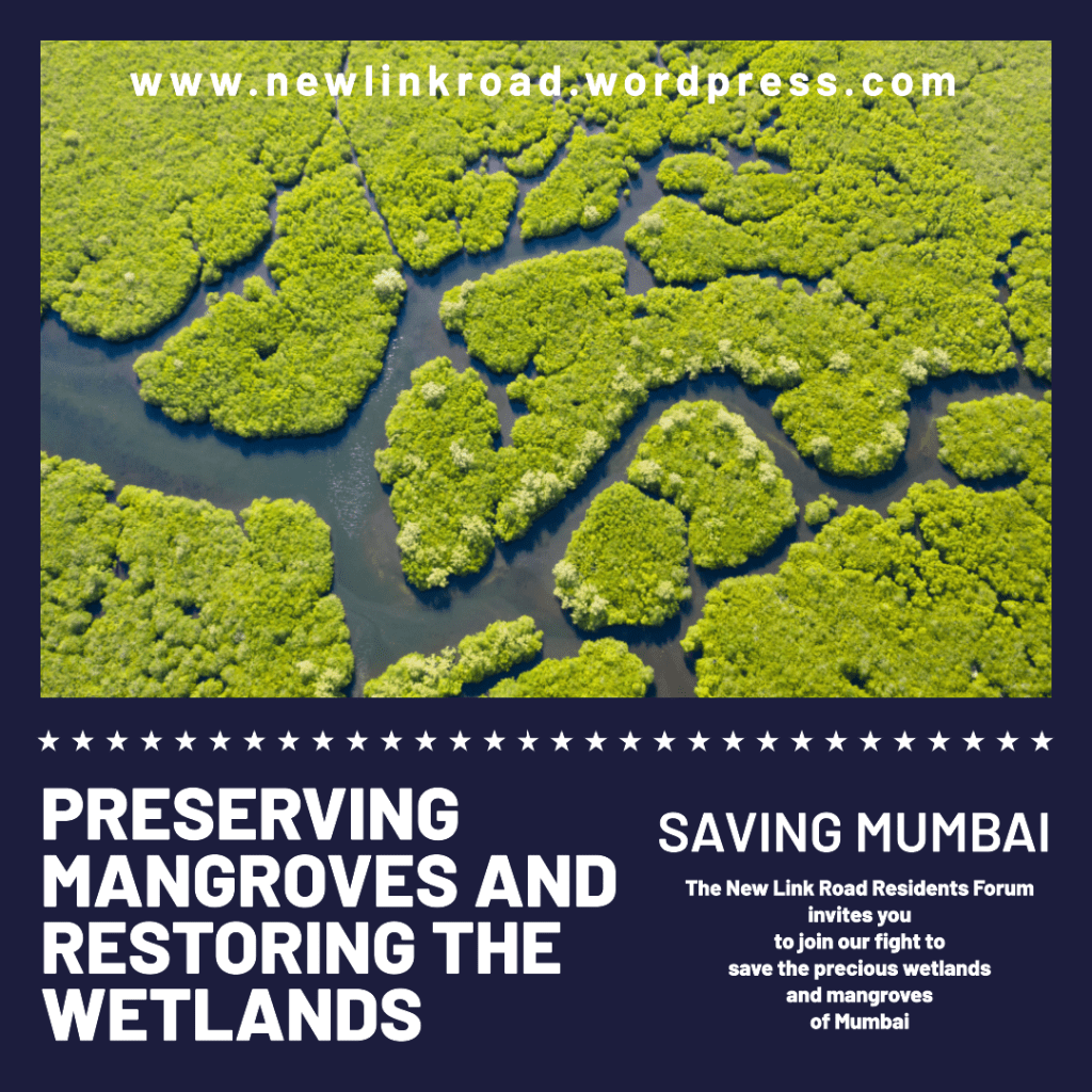 Join us to help preserve the wetlands of&nbsp;Mumbai
