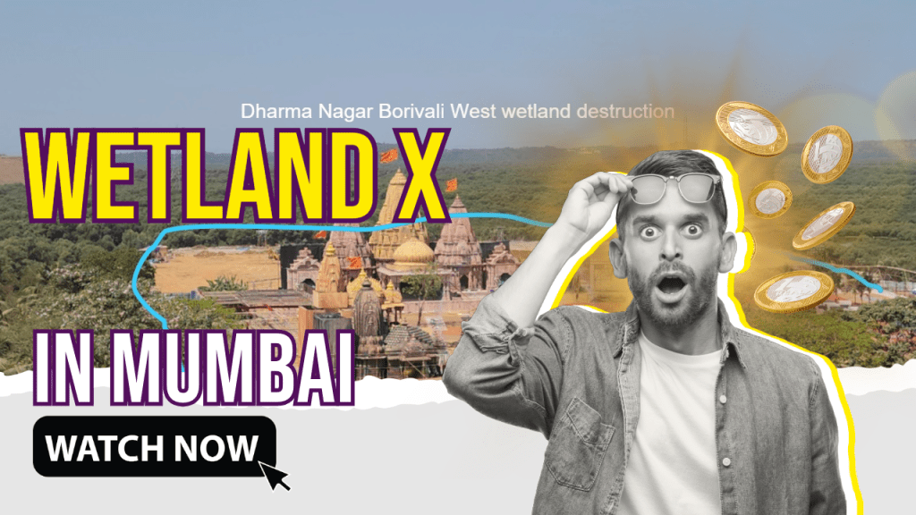 Shocking Wetland destruction for a&nbsp;wedding