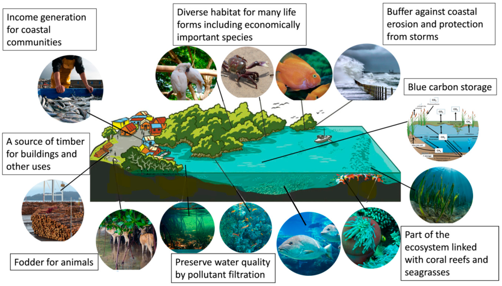 No rehab for settlers on CRZ and protected forets land: Mumbai High&nbsp;Court