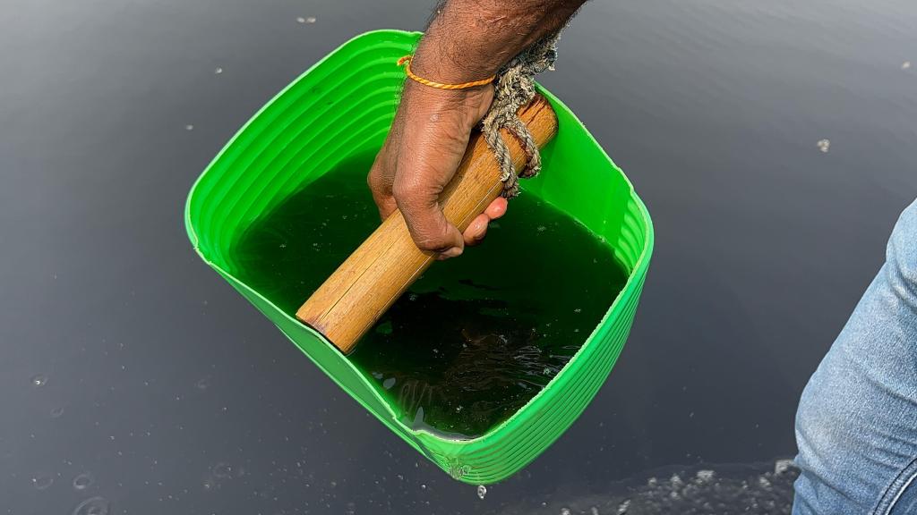 Wetlands destroyed by&nbsp;pollution